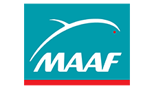 logo maaf toulouse